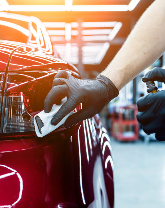 Ceramic-Coating--car-tile-lamb